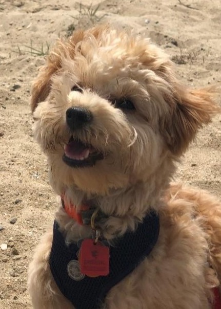 Bruno Prescott Photo