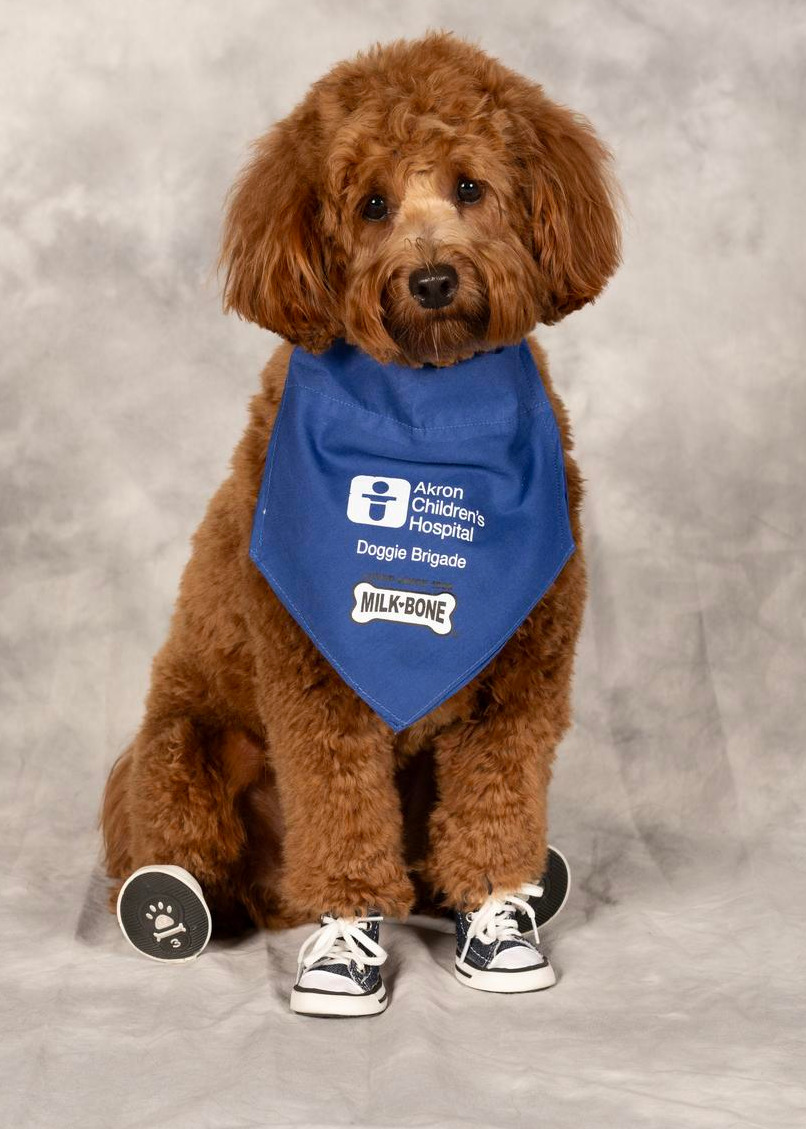 Rafferty Torrens, CMO Photo