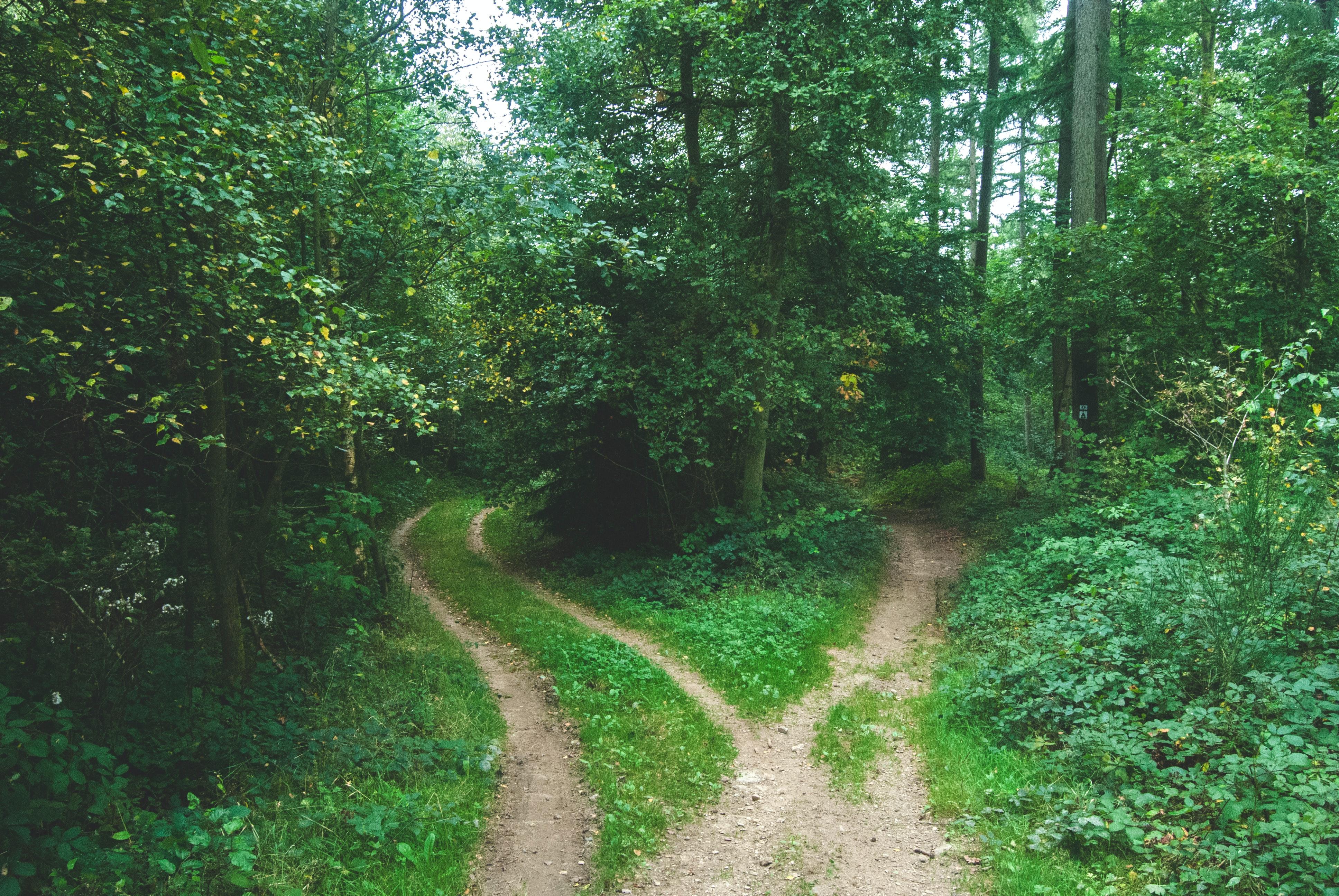 Lump-Sum Investing vs. Dollar-Cost Averaging, Round 1: Raw Returns Thumbnail