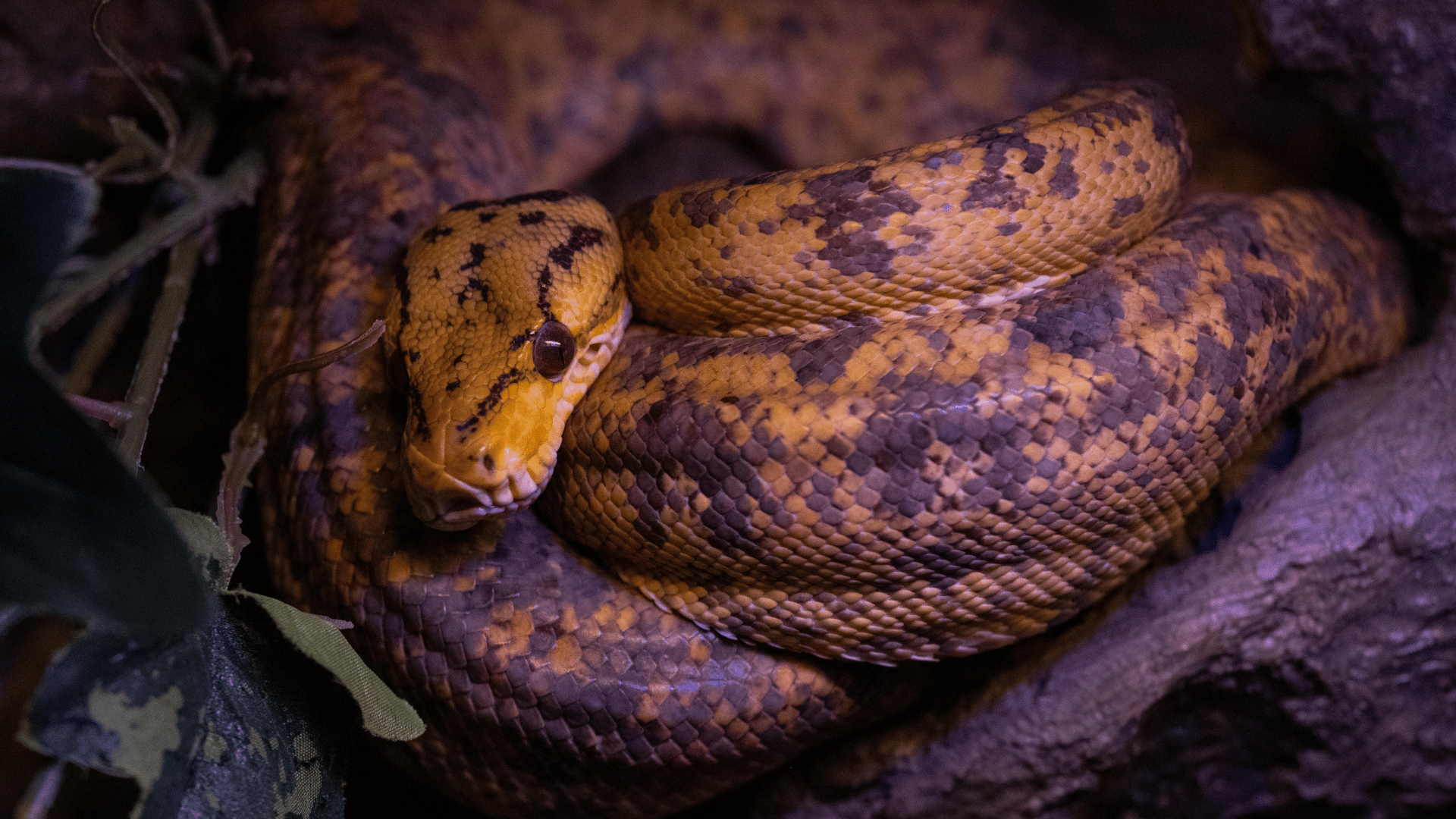 The 7 Deadly Sins of Retirement Planning Thumbnail