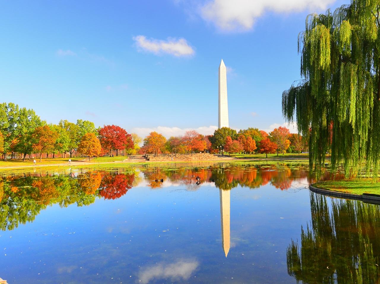 Five Funds, One Plan: A Federal Employee's Guide To The TSP Thumbnail