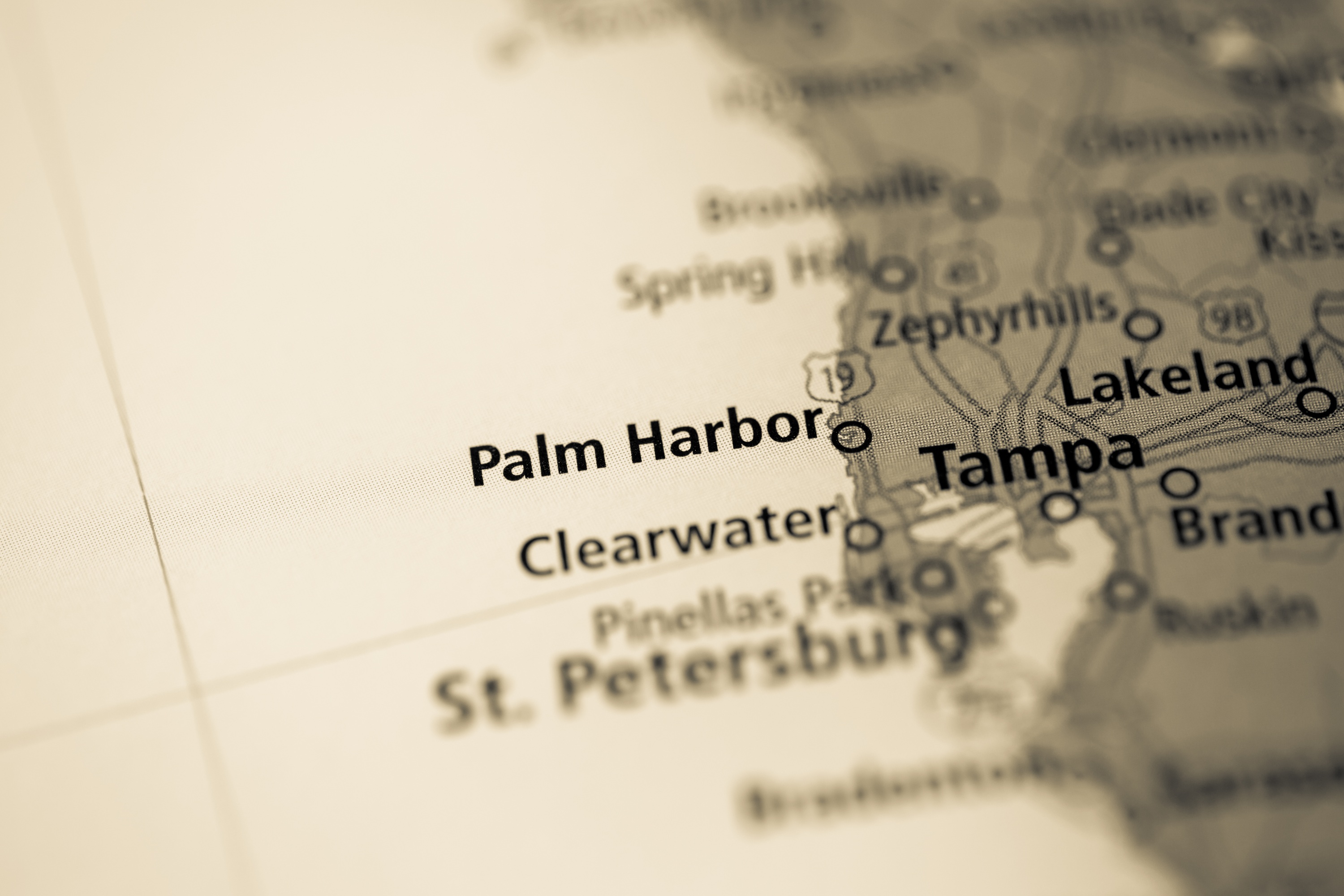 tampa sky bridge sunset