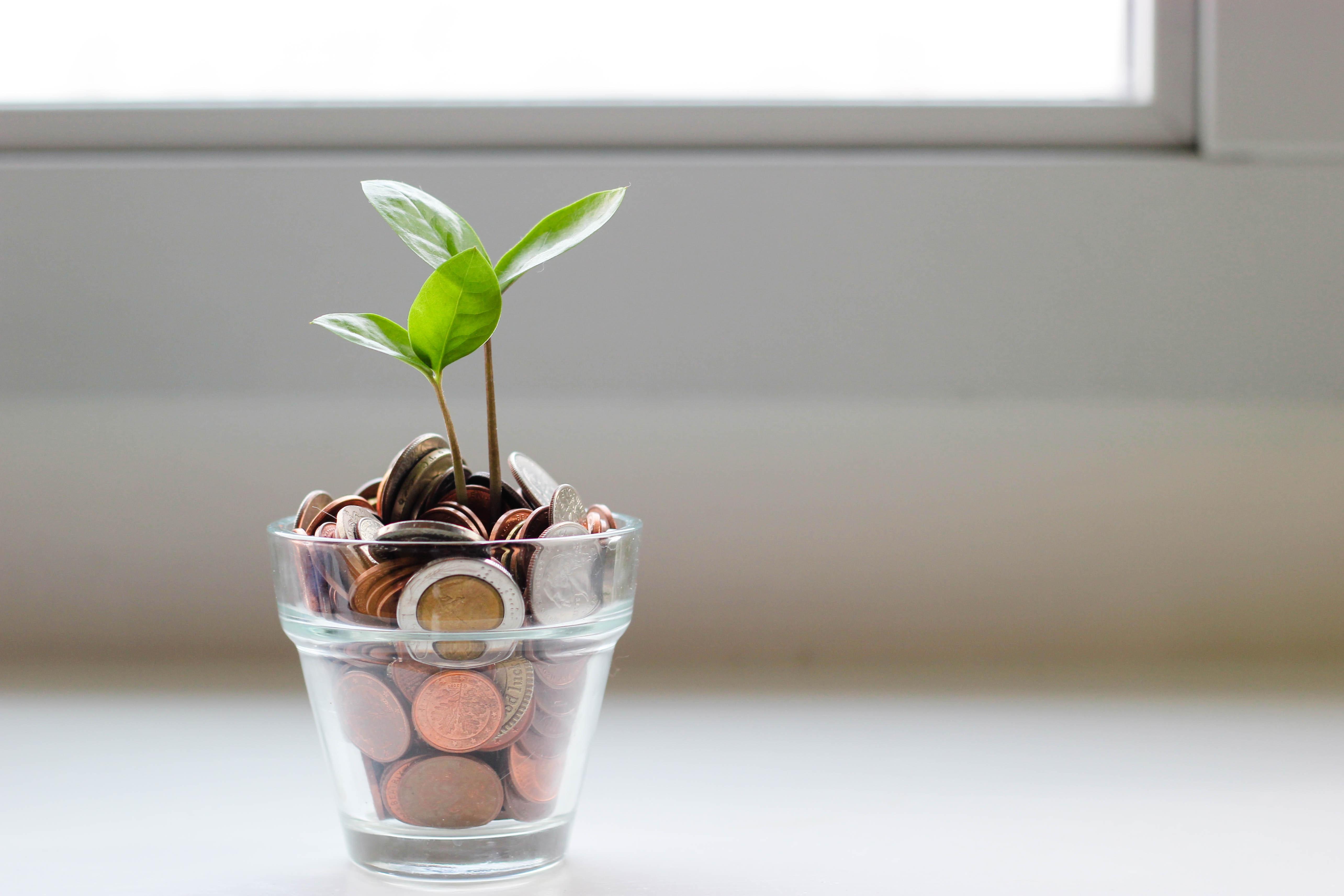 How Should I Invest My Roth IRA in 2021? Thumbnail