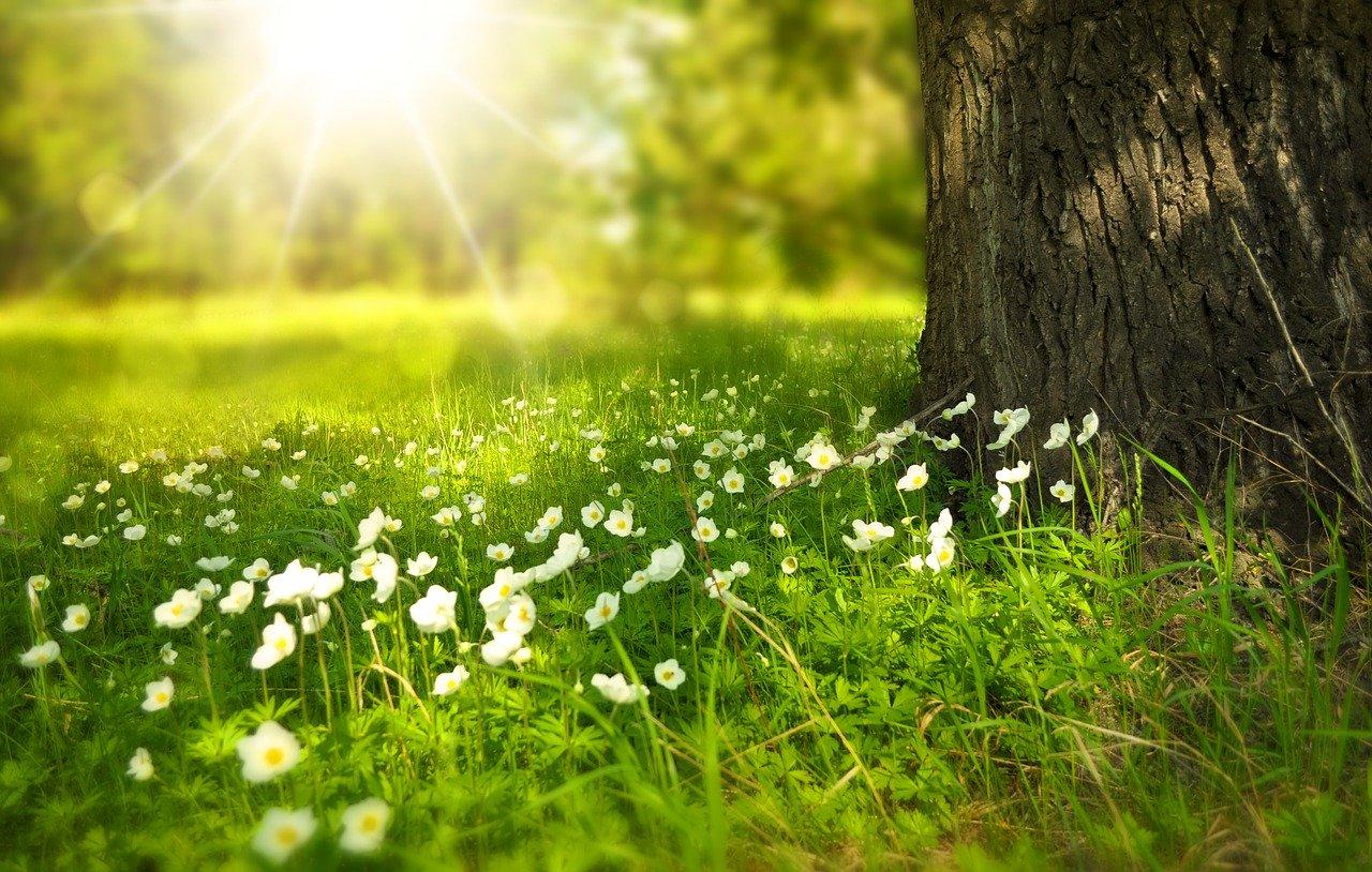 Moving Forward. May Brings Hope Thumbnail