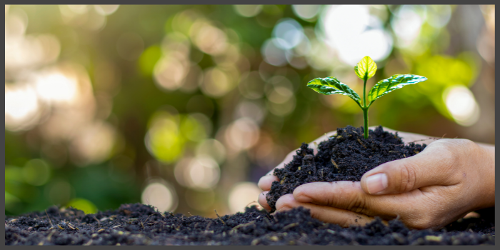 Think ESG Investing This Earth Day Thumbnail