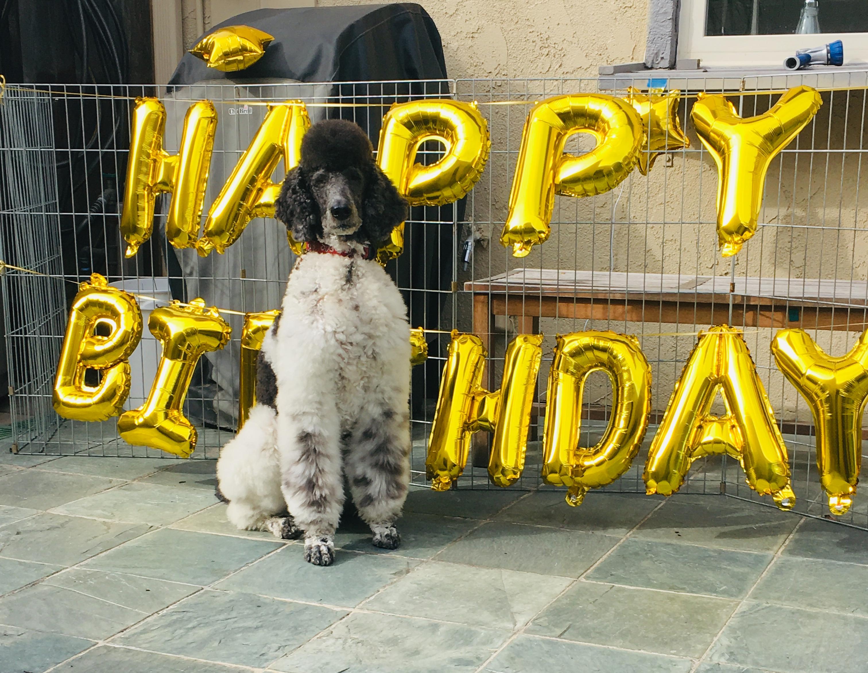 %POST_TITLE% Thumbnail