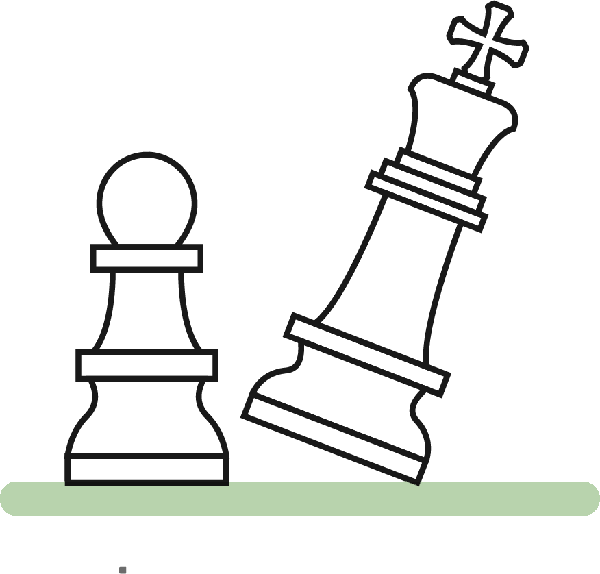 Mortality Risk