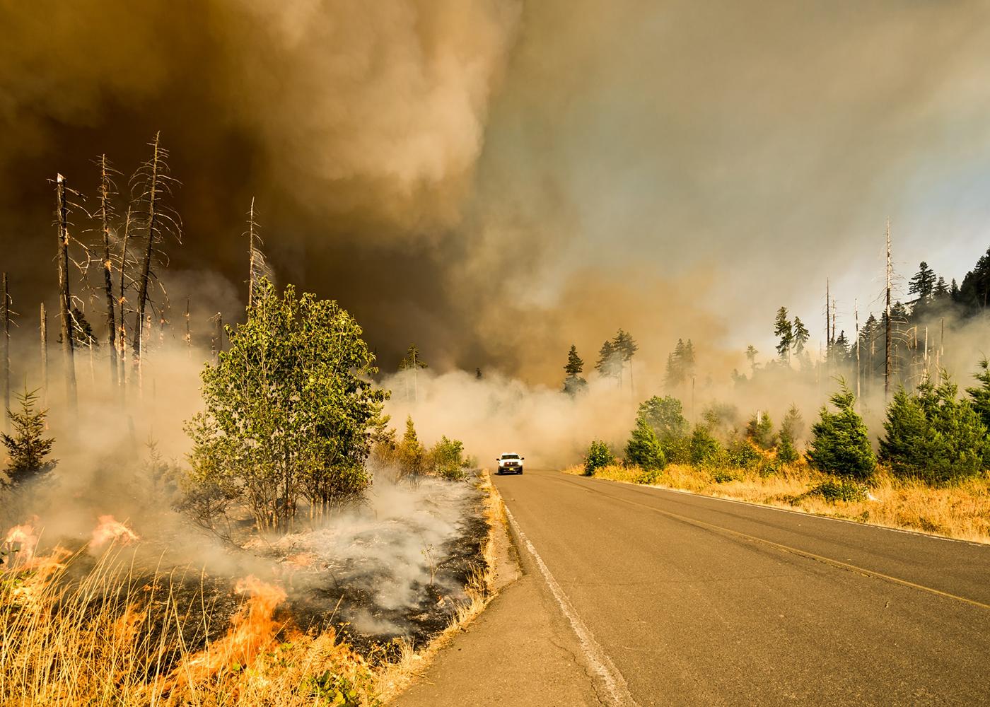 Has Your Property Been Impacted By Wildfires? Take These Next Steps To File a Claim Thumbnail