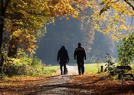 4 Steps to Take When You Inherit an IRA Thumbnail