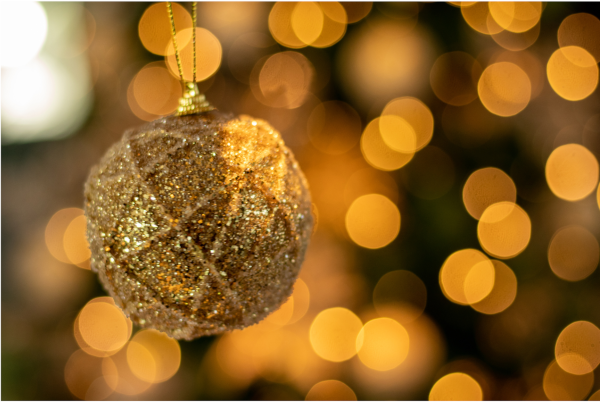 A Season for Gratitude, Reflection, and Looking Ahead Thumbnail