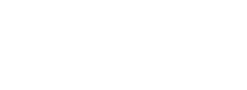 Logo for Auctus Advisors