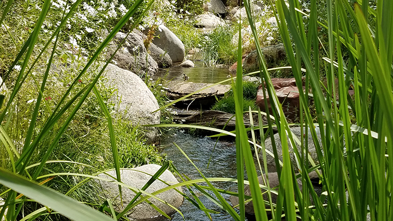 financial planning pocatello