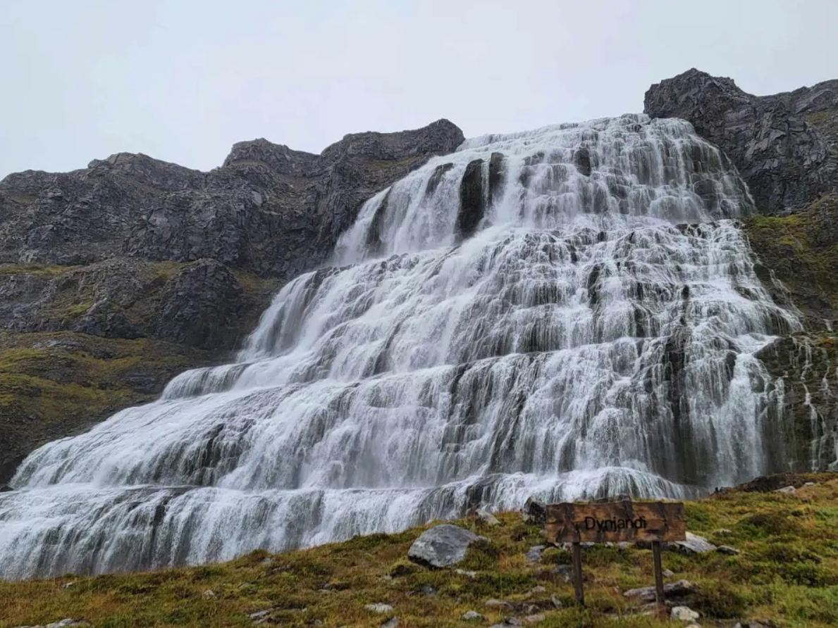 Employee Stock Option Planning Pocatello