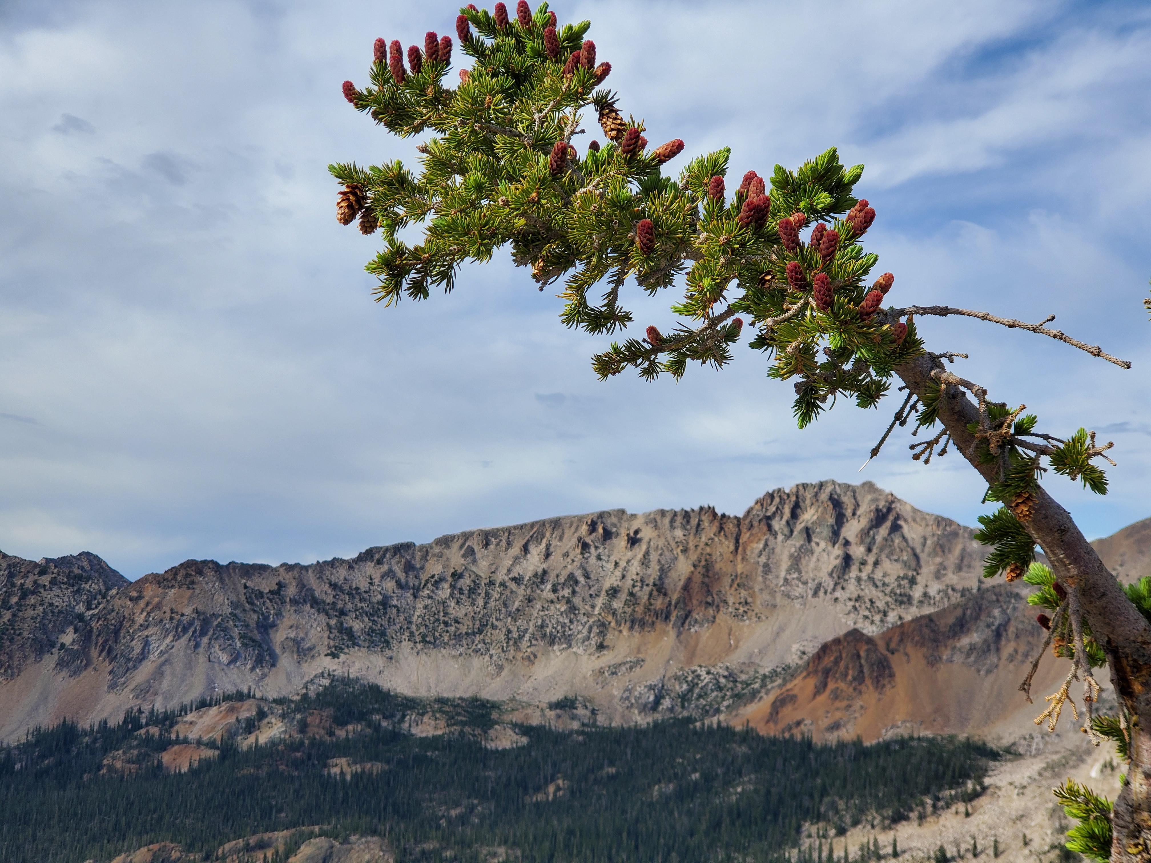 financial planning pocatello