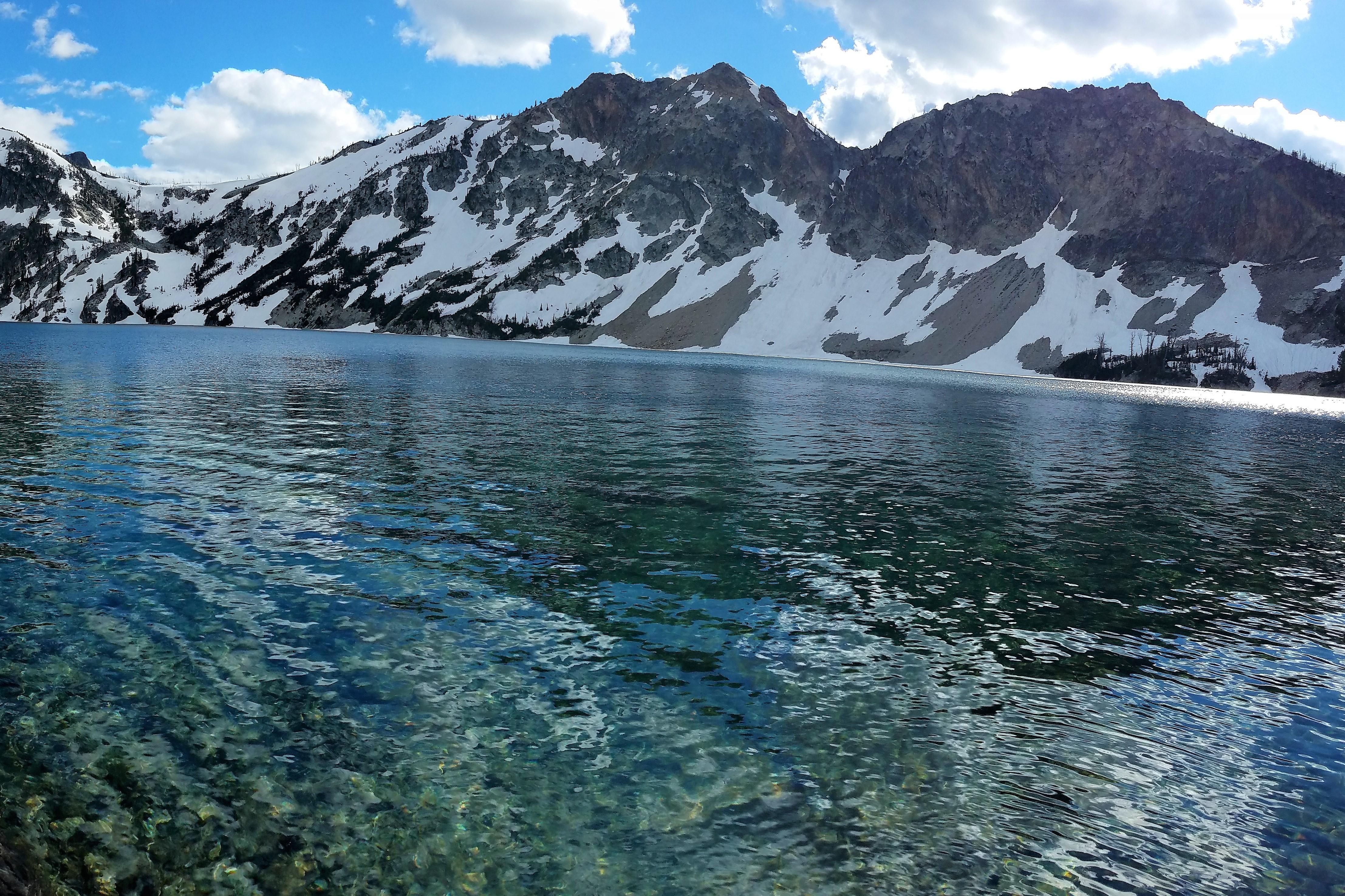 Employee Stock Option Planning Pocatello