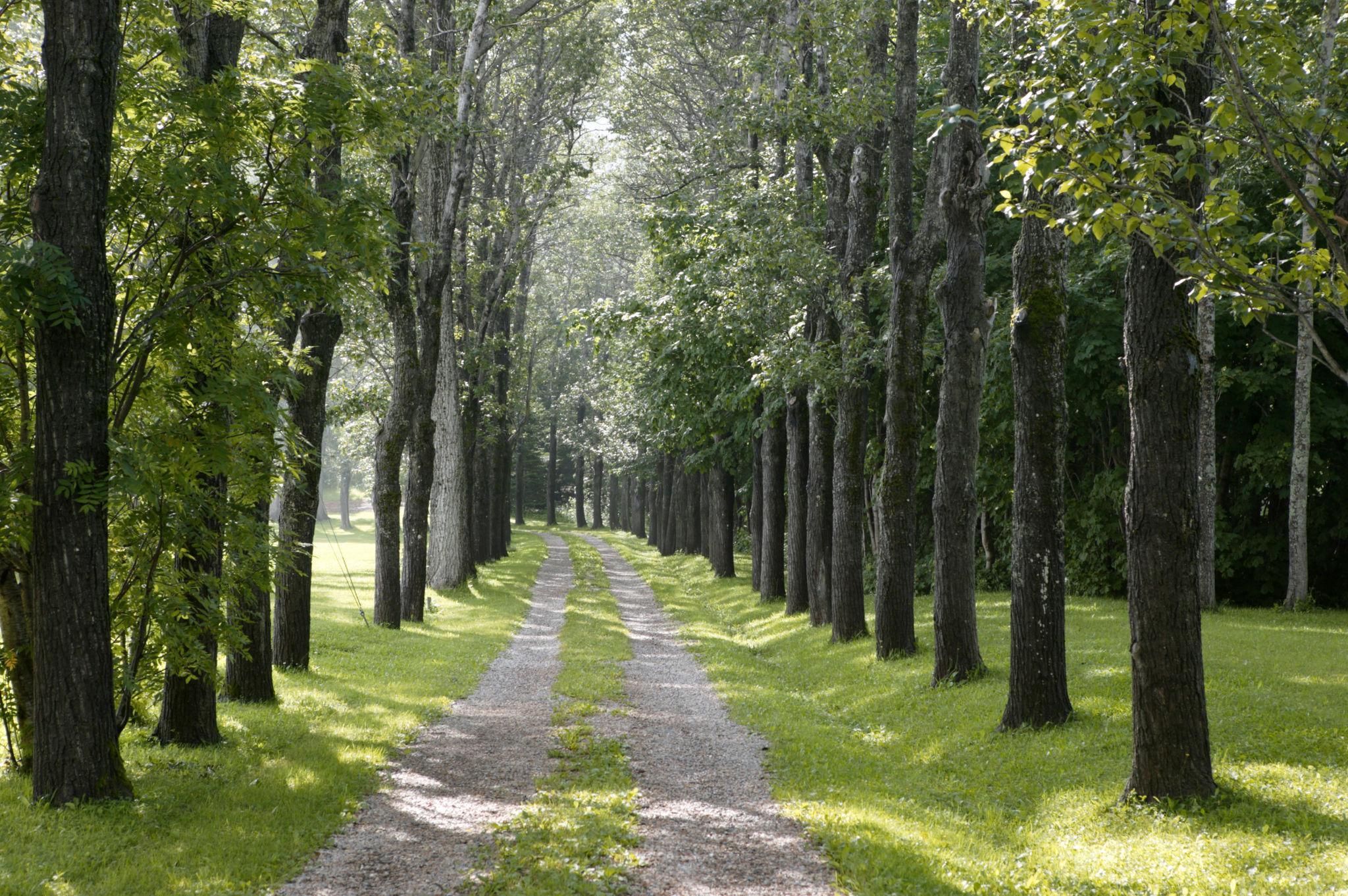 Investing Made Simple Thumbnail