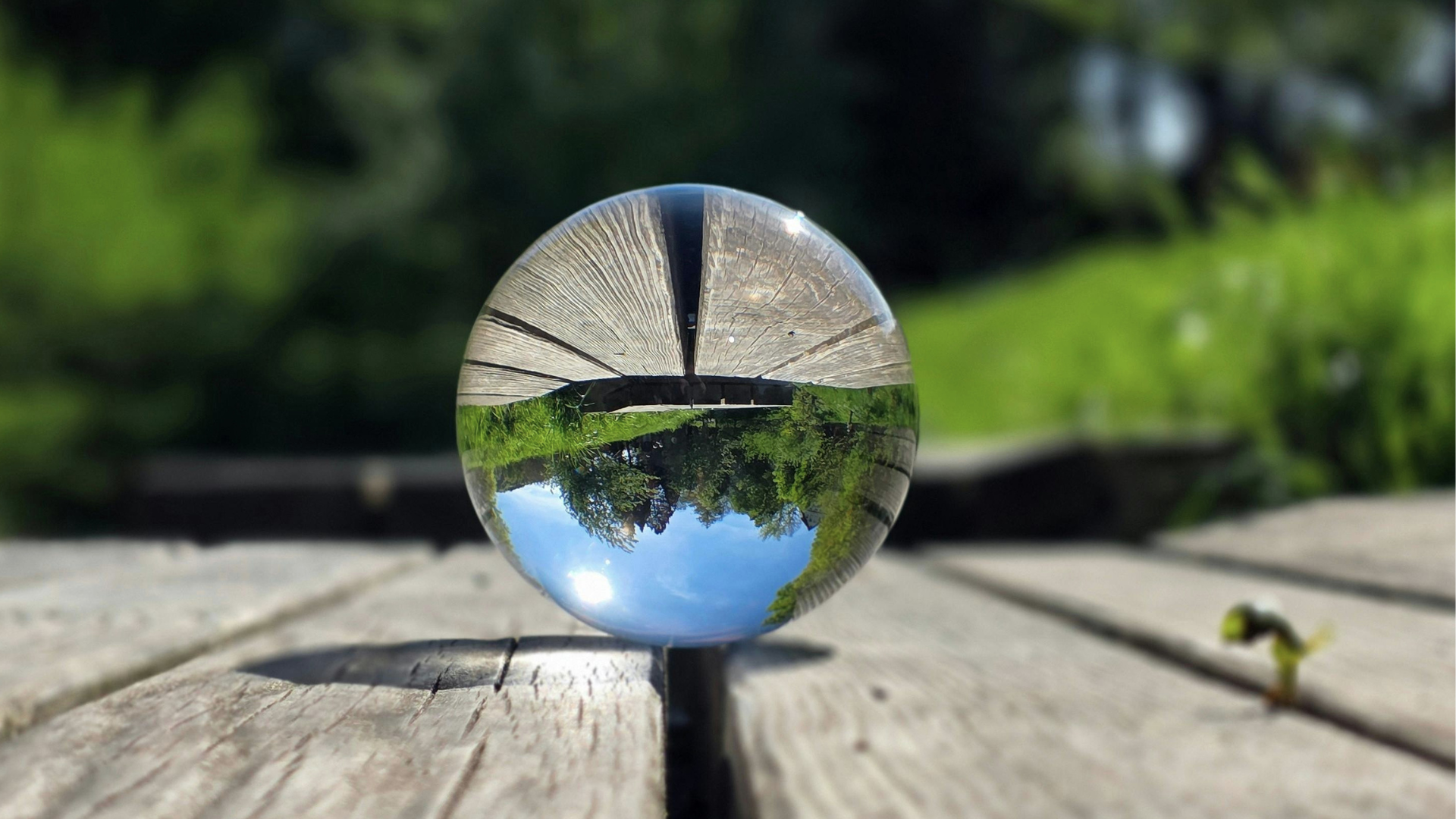 The Importance of Perspective Thumbnail