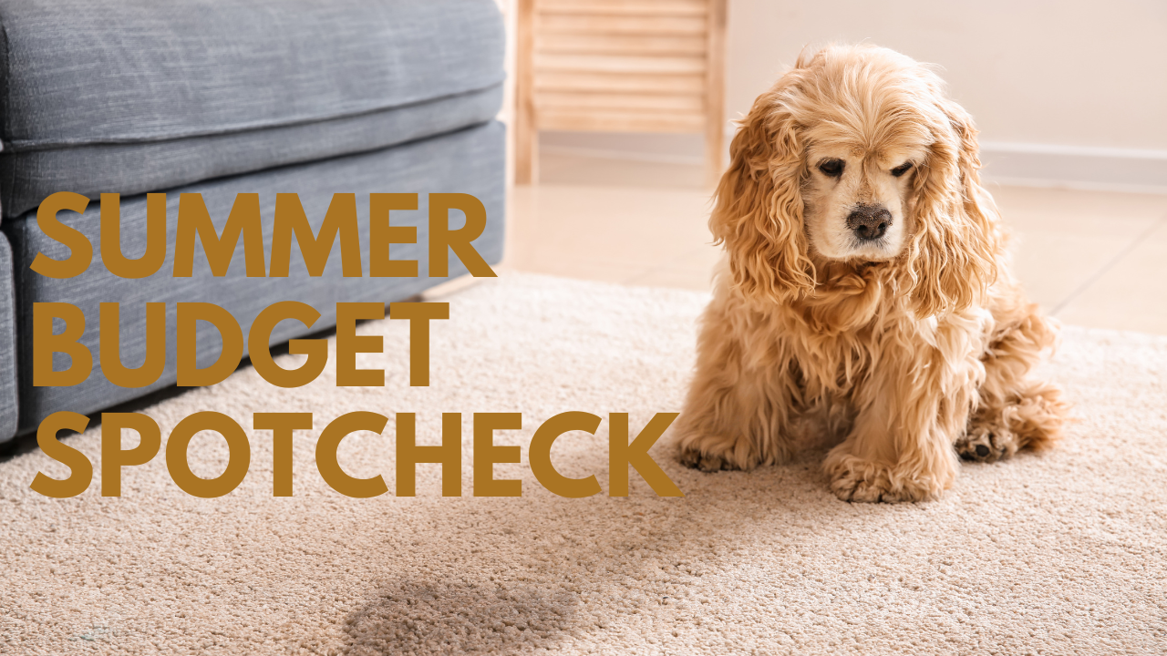 #69 Summer Budget Spotcheck Thumbnail