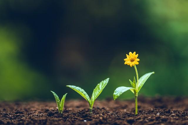 Time In, Not Timing: Why Staying Invested Beats Trying to Predict the Market Thumbnail