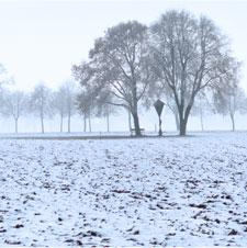 Winter Newsletter - 2011 Thumbnail