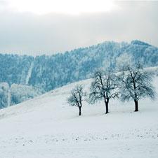 Winter Newsletter - 2010 Thumbnail