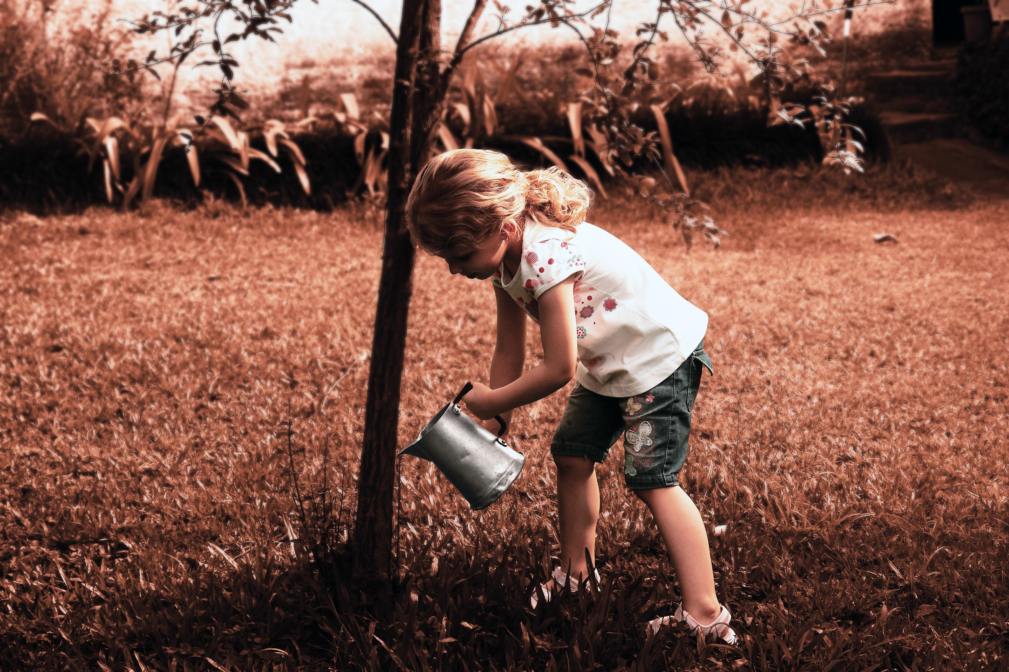 Planting Trees Thumbnail