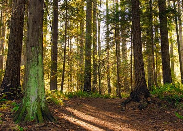 Five timeless principles for investing success* Thumbnail