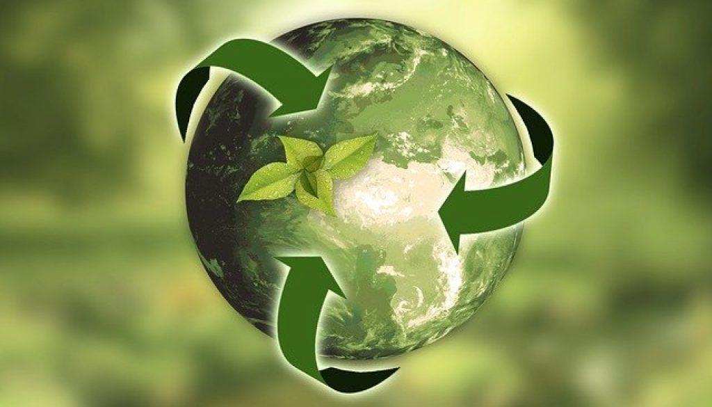 A Shift in Government Could Mean Big News for Environmentally-Focused Investors. Here's What We Mean Thumbnail