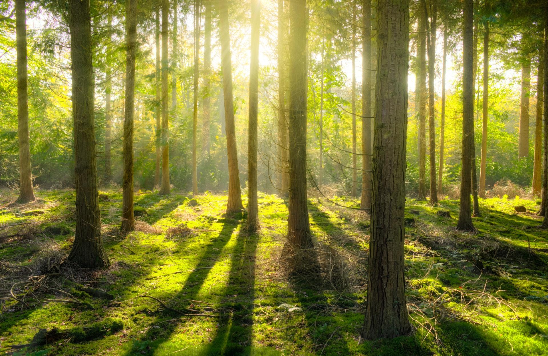 Three stages of the global recovery — an outlook from Manulife Investment Management’s chief economist Thumbnail