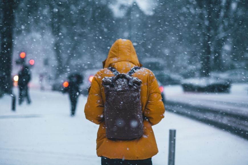 Winter Clipper Thumbnail