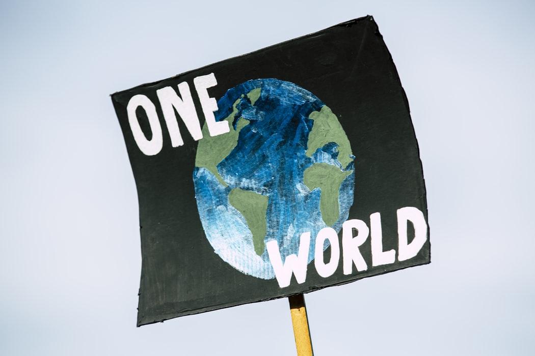 The Excitement and Confusion of Sustainable Investing Thumbnail