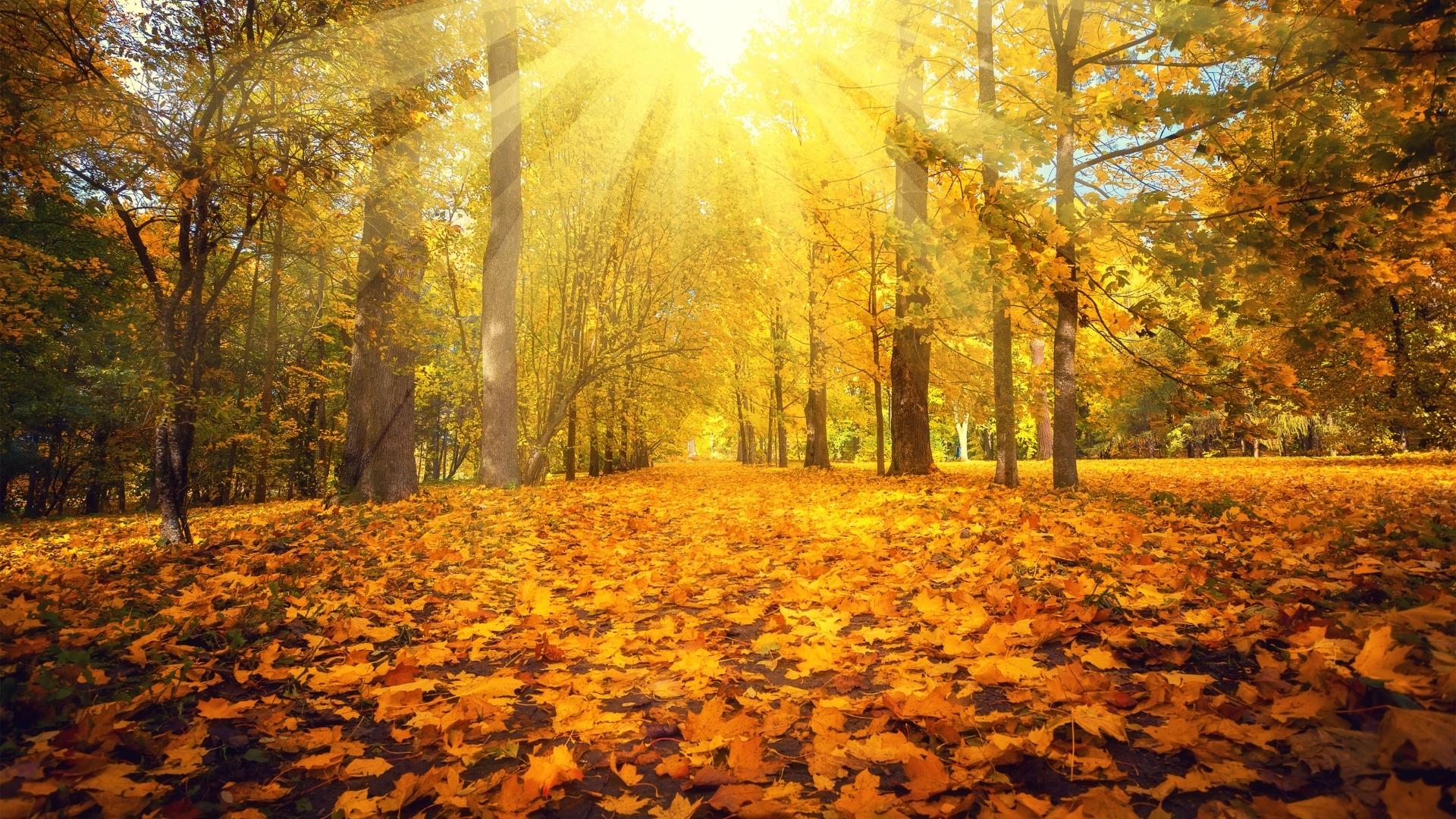 Change Is in the Air: Three Areas Worth a Second Look This Fall Thumbnail