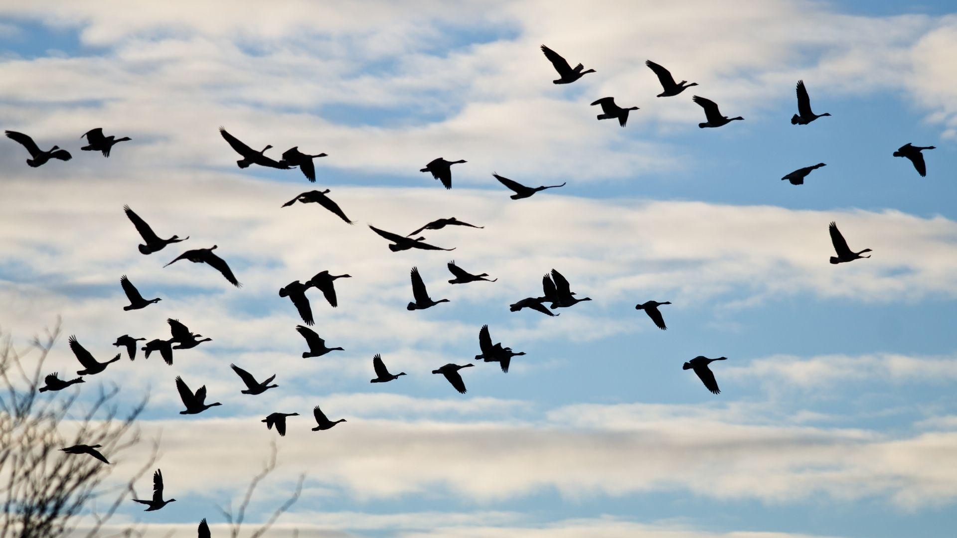 Retirement Planning: More Than Just a Number Thumbnail