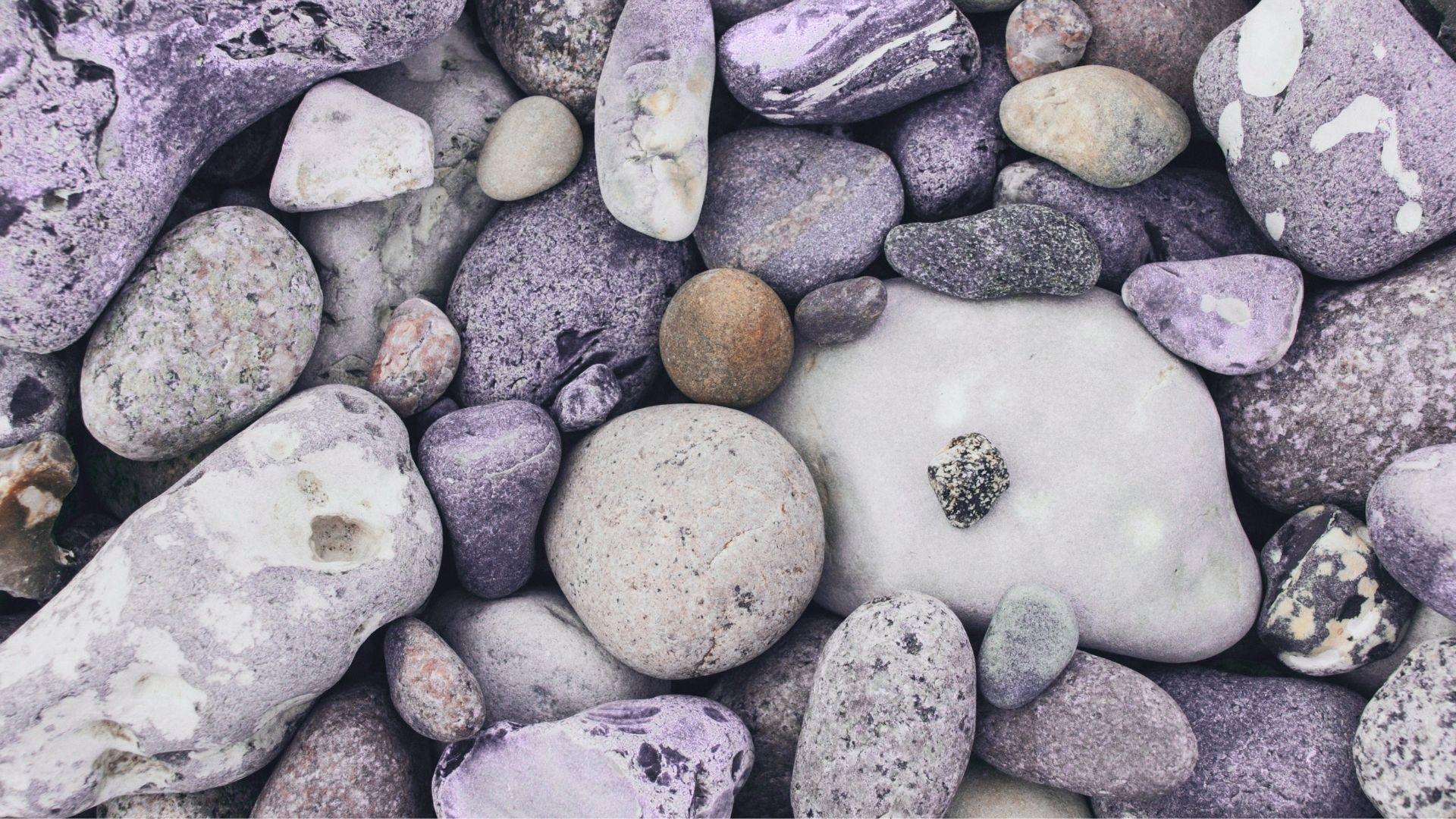Investing Basics: Understanding How Your Portfolio Works Thumbnail