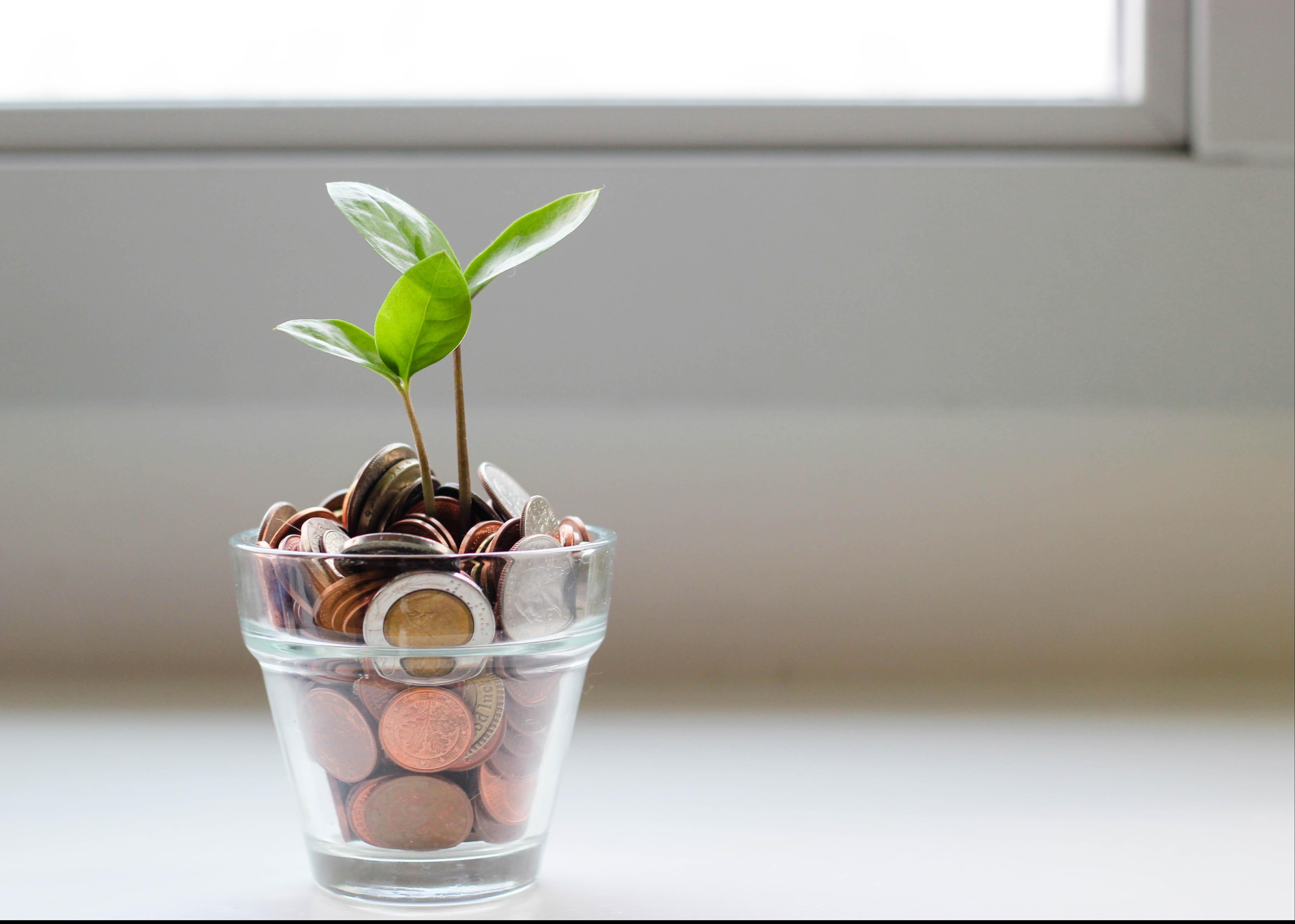 Just the Facts Newsletter: An Introduction to Investing in Stocks Thumbnail