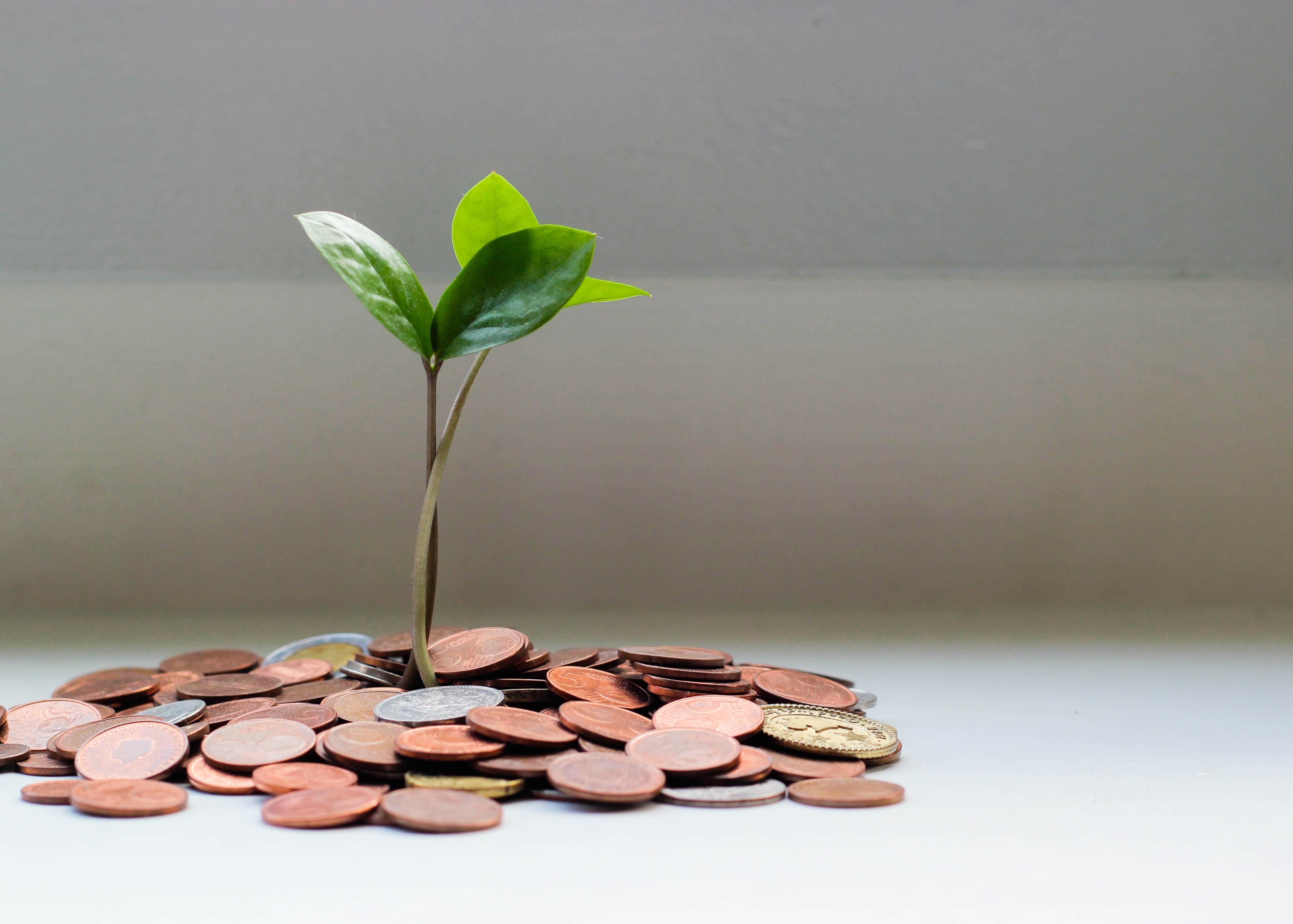 Just the Facts Newsletter: Personal Finance and Investing Thumbnail
