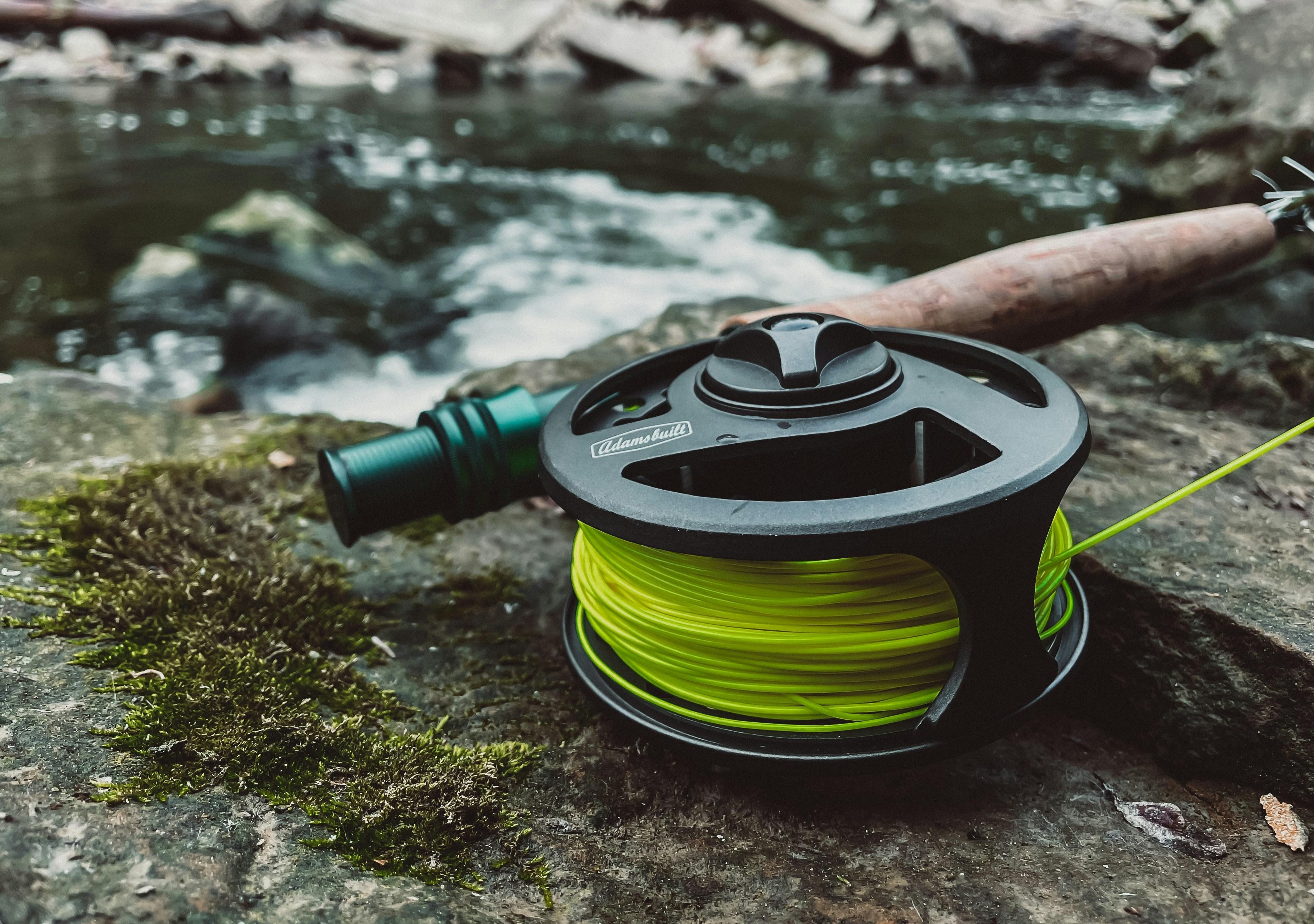 4th Quarter 2025 Newsletter Thumbnail