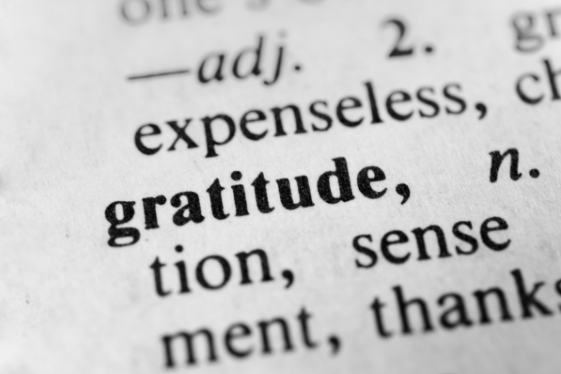Gratitude, Sunglasses & Getting Everything You Have Wanted - Finger Financial Five #7 Thumbnail