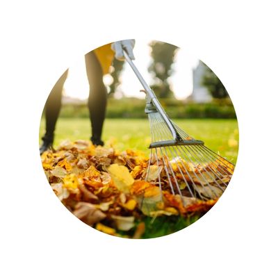 raking leaves