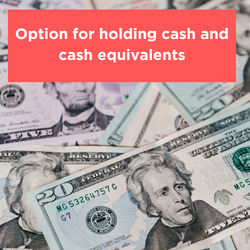 Option for holding cash and cash equivalents Thumbnail