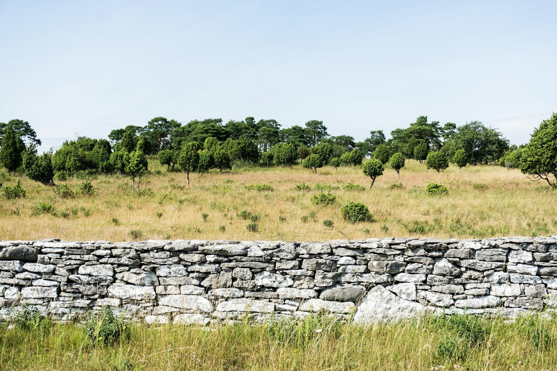 The Estate Plan That Doesn't Work — And Why No One Notices Thumbnail