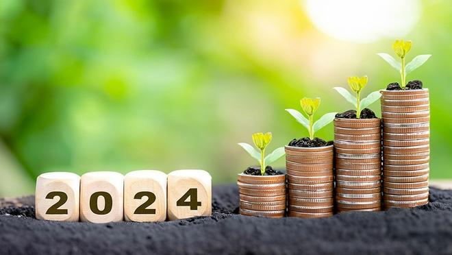 5 Important Financial Goals for the New Year — Meenes Wealth Partners