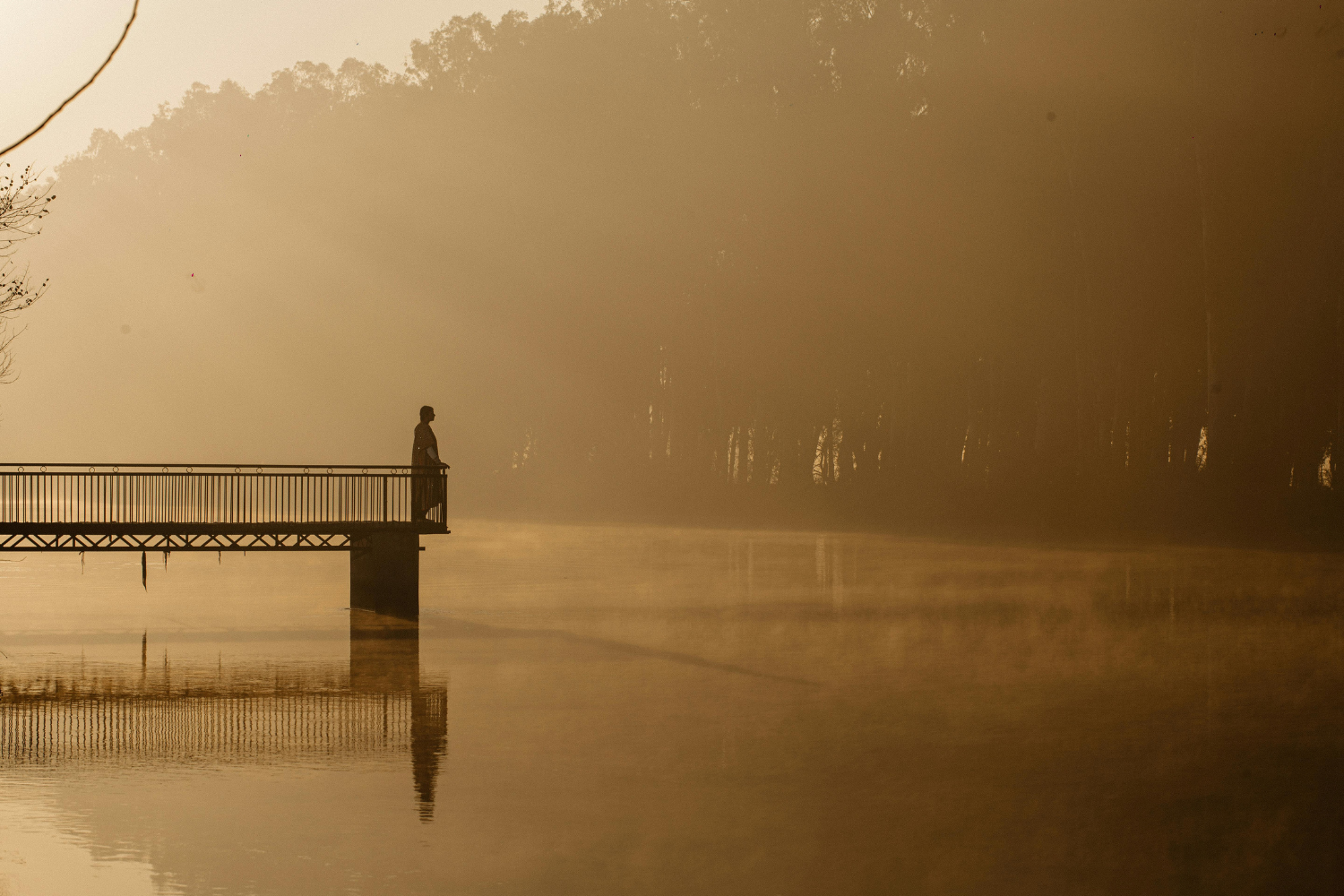 Spring 2026 - Quarterly Inspiration & Question of the Quarter Thumbnail