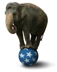 Market Forecasters’ Report Card Thumbnail