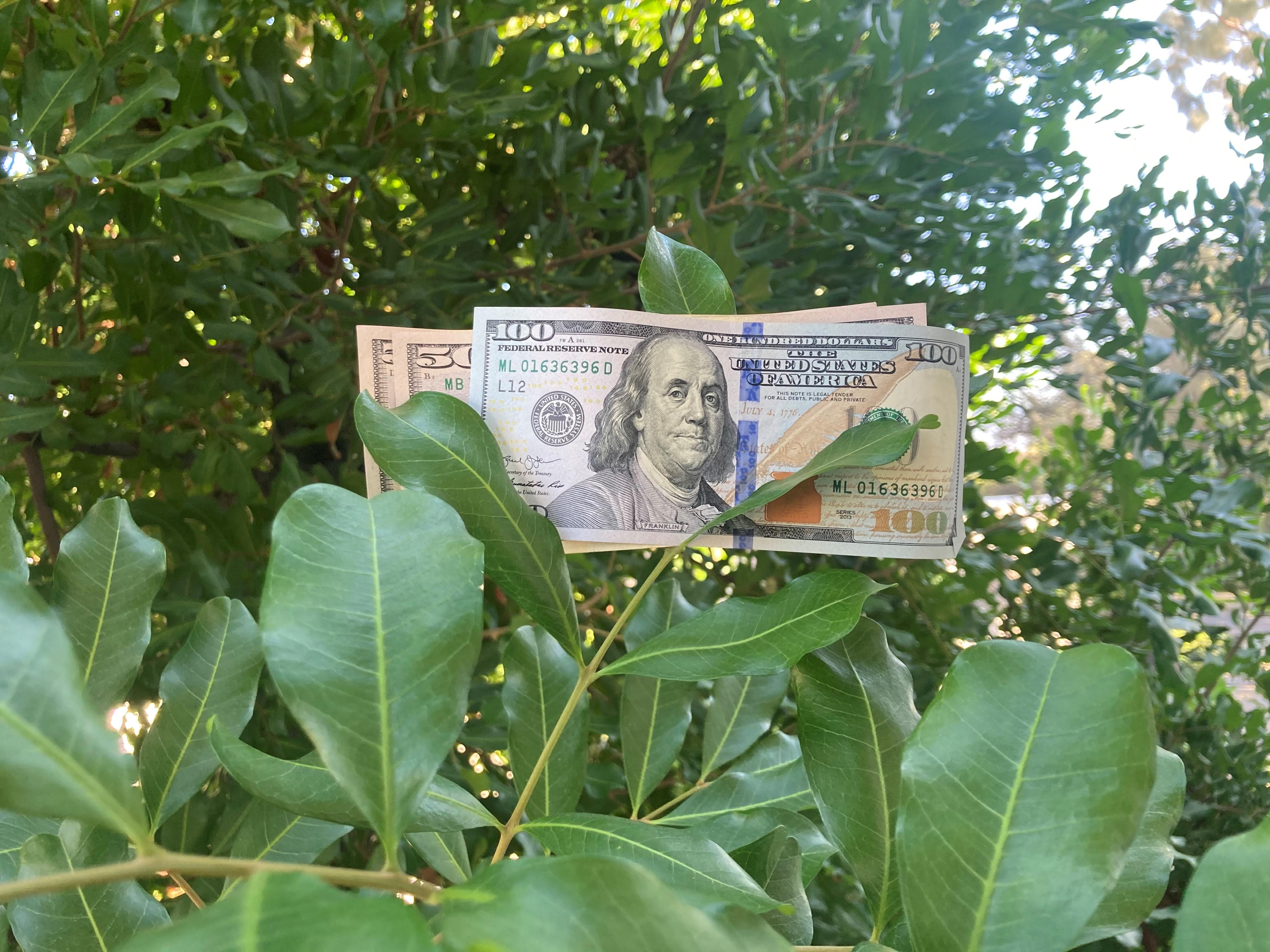 pasadena-ca-financial-planning-near-me-fig-tree-capital