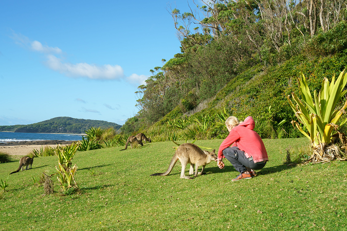 Could Looking to Australia’s "Super" System Help the U.S. Fix Social Security? Thumbnail