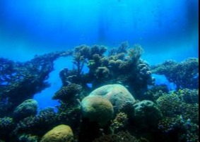 What is Socially Responsible Investing? Thumbnail