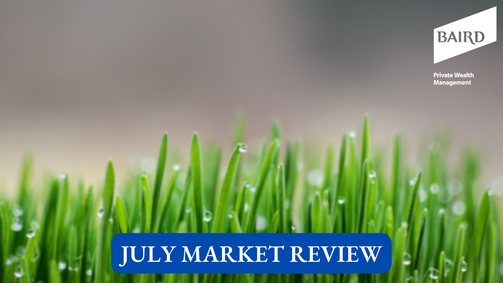 July Market Review Thumbnail