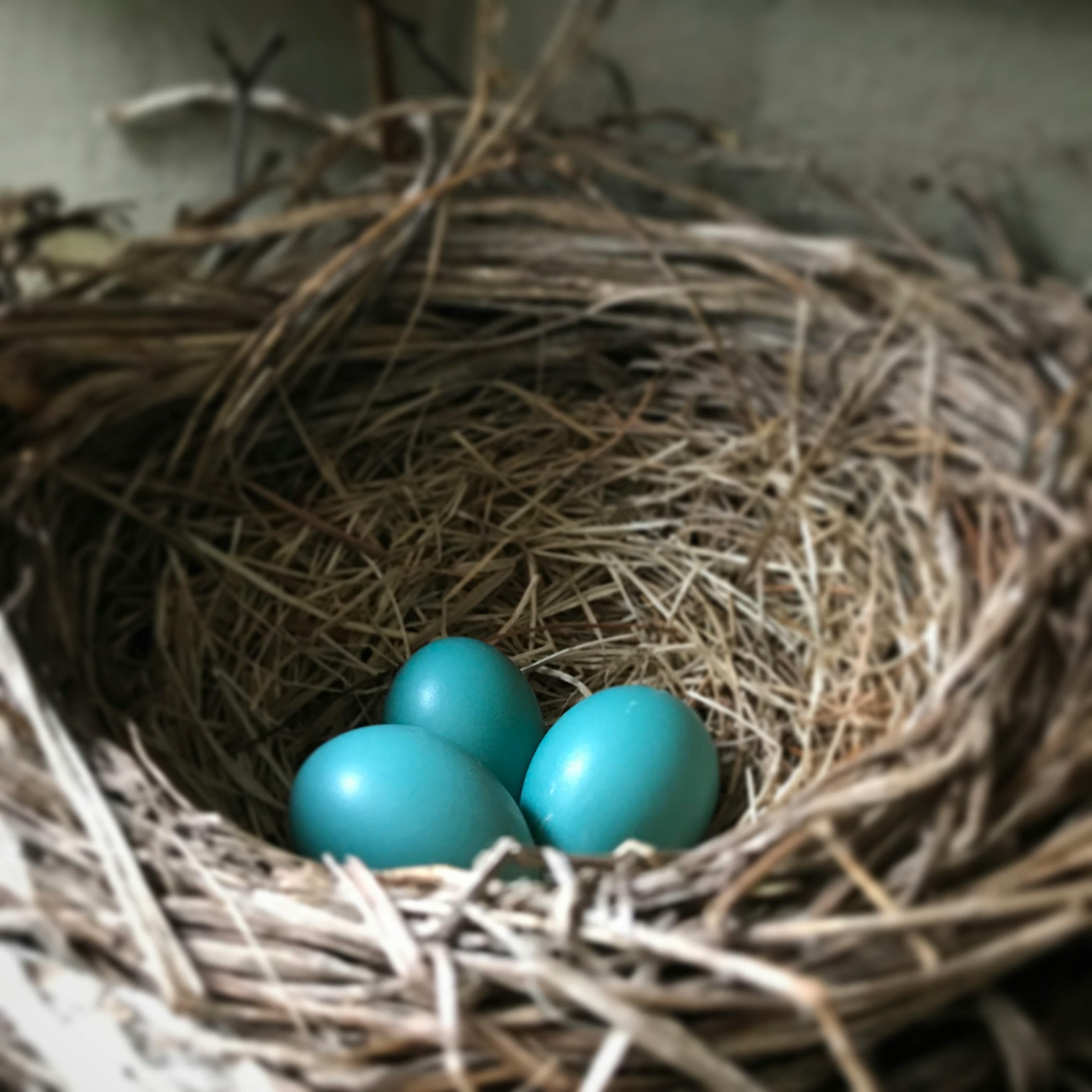 Empty Nesters: When the kids come home to roost Thumbnail