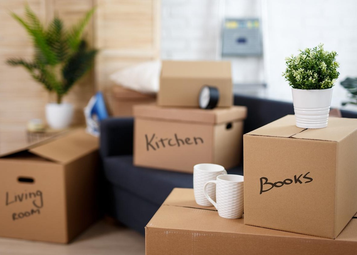 Navigating Your Return to the US Thumbnail